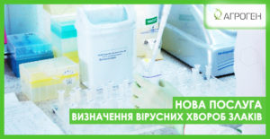 вирусы_пшеницы_ua