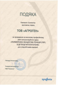 imgonline-com-ua-resize-6vlk94dceqeczqbk