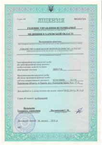 imgonline-com-ua-resize