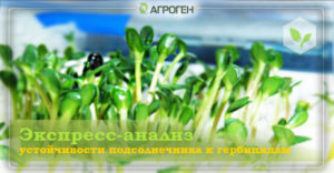 standart_slajda_1
