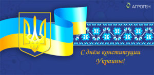 iyun-2017-den-konstitutsii-ukrainy_ru