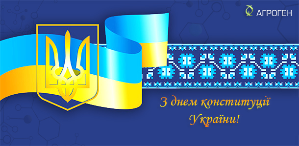 iyun-2017-den-konstitutsii-ukrainy_ua
