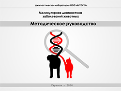 Методическое руководство