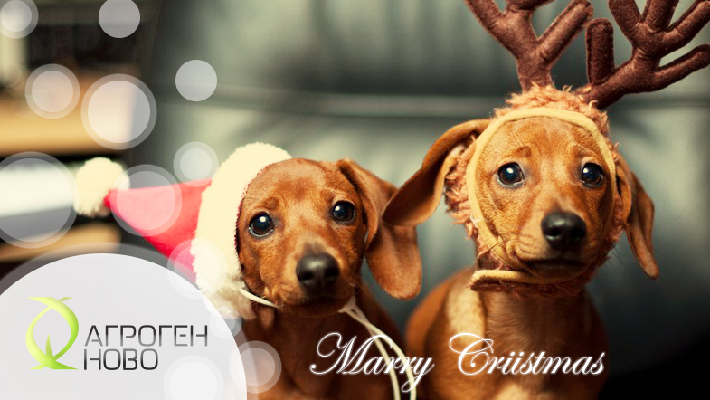 criistmas