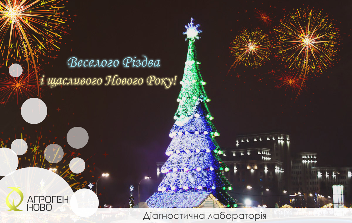 cristmas_2018