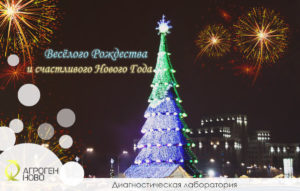 cristmas_2018_ru