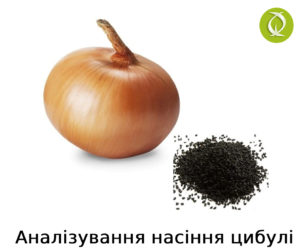 Титул 15-21